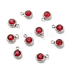 201 Stainless Steel Rhinestone Charms STAS-S068-07-1