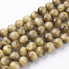 Natural Gold Tiger Eye Beads Strands G-C076-10mm-1AA-1