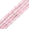 Natural Freshwater Shell Beads Strands SHEL-G013-02G-1