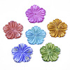 Natural Freshwater Shell Beads SHEL-N026-10-1