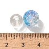 Mixed Style Glass Beads GLAA-XCP0012-02D-3