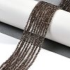 Natural Smoky Quartz Beads Strands G-P553-G05-01-2