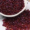Spray Painted Glass Seed Beads SEED-F005-06A-04-1