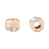 TOHO 11/0 Round Beads X-SEED-TR11-PF2111-4