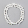 Electroplated Natural White Moonstone Beads Strands X-G-S369-012B-C-2