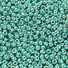 TOHO 6/0 Round Beads X-SEED-TR06-PF0561-3
