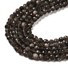 Natural Silver Sheen Obsidian Beads Strands G-E608-A02-B-3