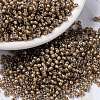MIYUKI Round Rocailles Beads X-SEED-G008-RR3541-1