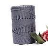 Chinlon Cloth Yarn PW-WG61A55-28-1