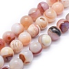 Natural Agate Beads Strands G-I245-40B-1