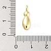 Rack Plating Brass Pendants KK-C050-01G-I-3