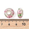 Lampwork & Brass Core European Beads LAMP-P019-01P-26-3