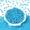 Opaque Colours Glass Seed Beads SEED-N007-39A-01-2