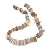 Natural Grey Agate Beads Strands G-A302-A02-01-3