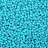 Baking Paint Glass Seed Beads SEED-US0003-3mm-K10-2