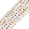 Assembled Synthetic Stone and Trochus Shell Beads Strands G-B128-08A-01-1