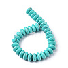 Synthetic Turquoise Beads Strands G-F743-05H-3