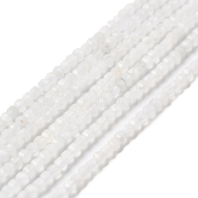 Natural Rainbow Moonstone Beads Strands G-I353-04-1