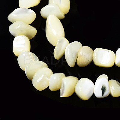 Natural Trochid Shell/Trochus Shell Bead Strands SSHEL-N034-78-C01-1