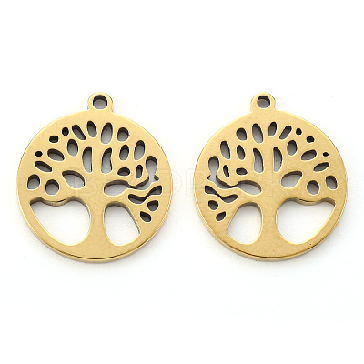 304 Stainless Steel Pendants LS-X-STAS-N092-09G-1