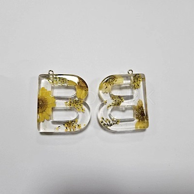 Transparent Epoxy Resin Pendants CRES-YW0002-12B-1