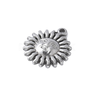 304 Stainless Steel Charms STAS-E548-06P-1