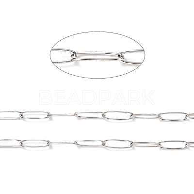 Tarnish Resistant 304 Stainless Steel Paperclip Chains CHS-F010-01C-P-1
