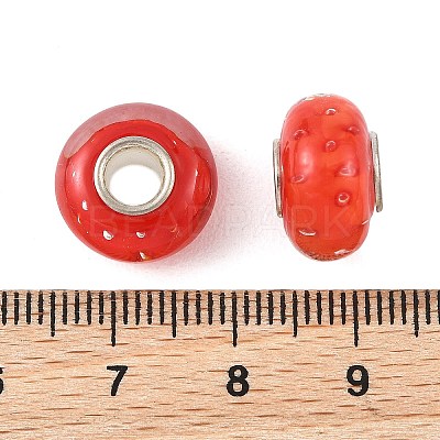 Lampwork & Brass Core European Beads LAMP-P019-01P-24-1