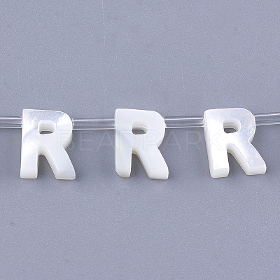 Natural Sea Shell Beads SHEL-T012-60R-1