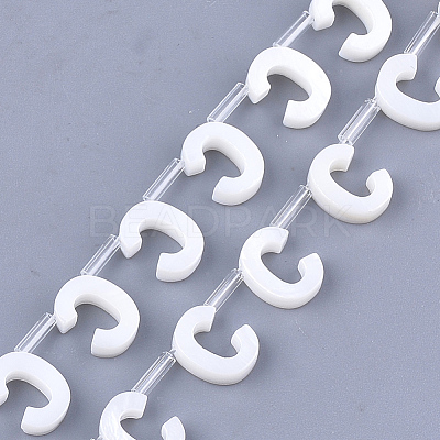 Freshwater Shell Beads X-SHEL-T012-59C-1