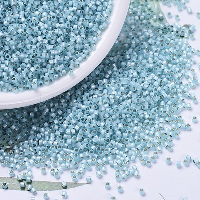 MIYUKI Delica Beads SEED-X0054-DB0628-1