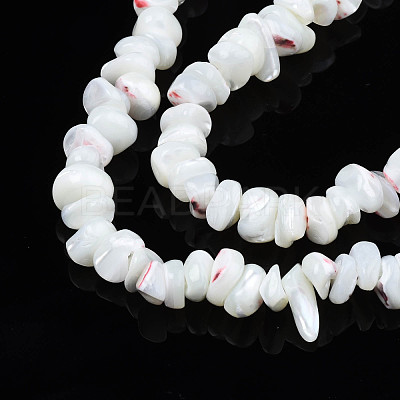 Natural Freshwater Shell Beads Strands SHEL-N003-23-A01-1