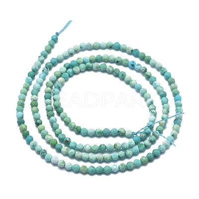 Natural HuBei Turquoise Beads Strands G-G792-38-1