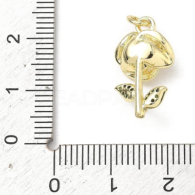 Brass Micro Pave Cubic Zirconia Pendants KK-H255-26G-1