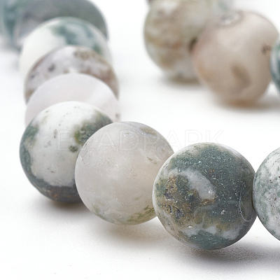 Natural Tree Agate Beads Strands X-G-T106-037-1