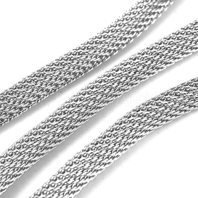 Tarnish Resistant 304 Stainless Steel Mesh Chains/Network Chains STAS-P245-51A-P-1