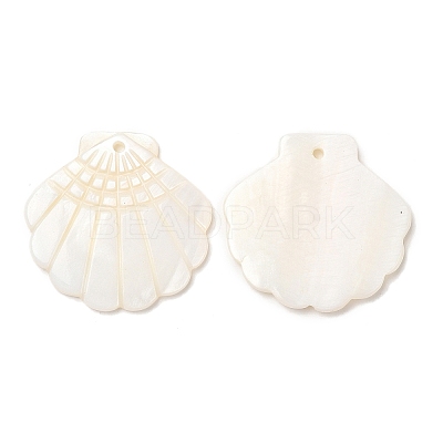 Natural Freshwater Shell Pendants X-SHEL-F007-20-1