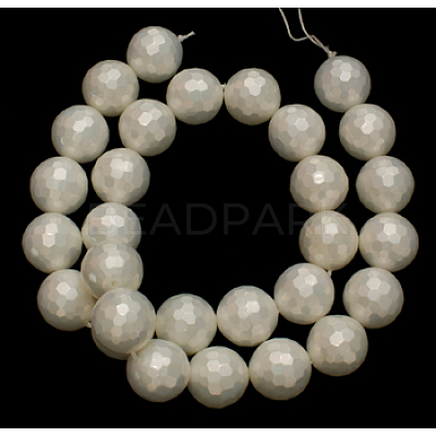 Shell Pearl Beads Strands SP034-10mm-1