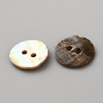 Natural Shell Buttons BUTT-WH0024-041D-1