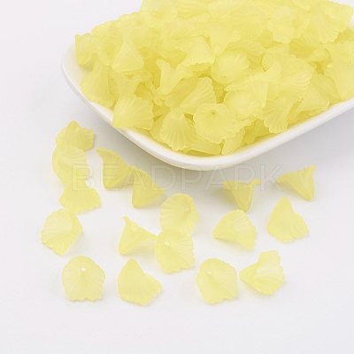 Transparent Acrylic Beads PL622-C13-1