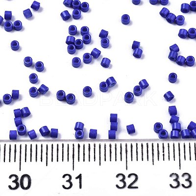FGB 11/0 Grade A Glass Seed Beads X-SEED-S030-1024-1