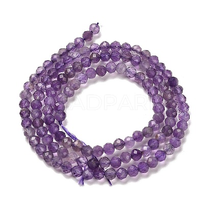 Natural Amethyst Beads Strands X-G-K373-B03-03-1