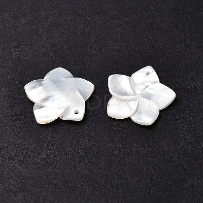 Natural White Shell Mother of Pearl Shell Pendants X-SSHEL-G014-60-1