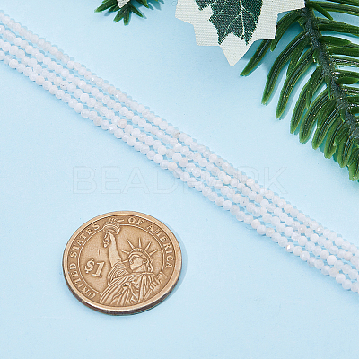 2 Strands Natural Rainbow Moonstone Beads Strands G-FI0001-08-1