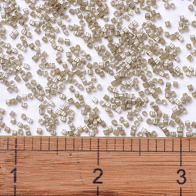 MIYUKI Delica Beads X-SEED-J020-DB1862-1