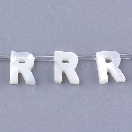 Natural Sea Shell Beads SHEL-T012-60R-1