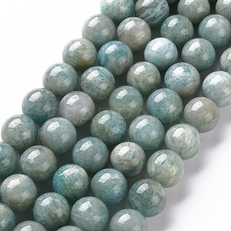 Natural Amazonite Beads Strands G-S333-10mm-005-1