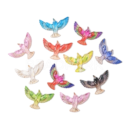 10Pcs Transparent Resin Cabochons FIND-YW0008-82-1