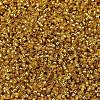 MIYUKI Delica Beads SEED-MY11-DB2157-3