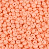 Opaque Glass Seed Beads SEED-N012-09A-10-3